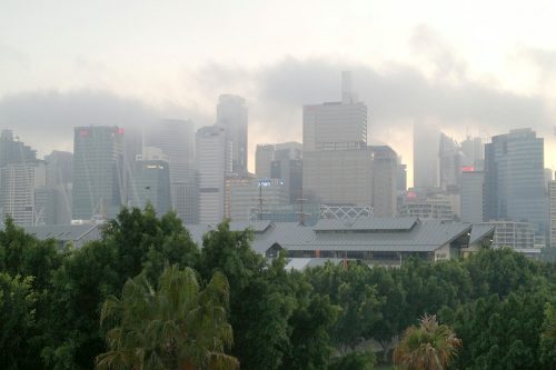 Misty - Sydney